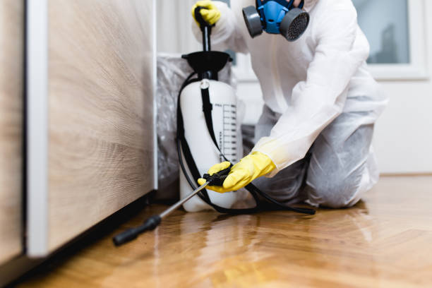 Best Flea Control Services  in Ferrysburg, MI