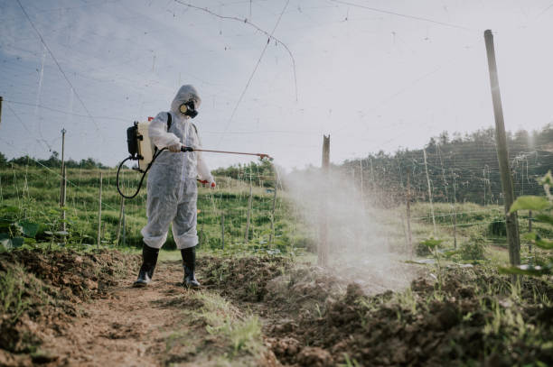 Best Termite Control Services  in Ferrysburg, MI