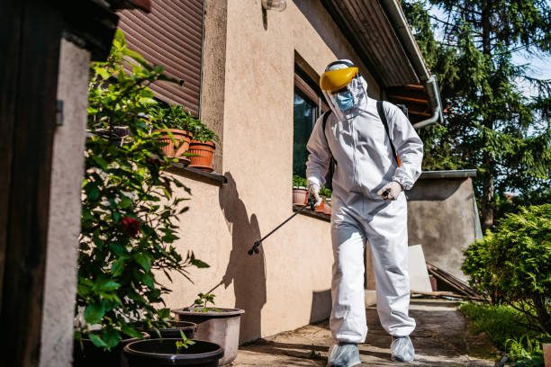 Best Best Pest Control Companies  in Ferrysburg, MI