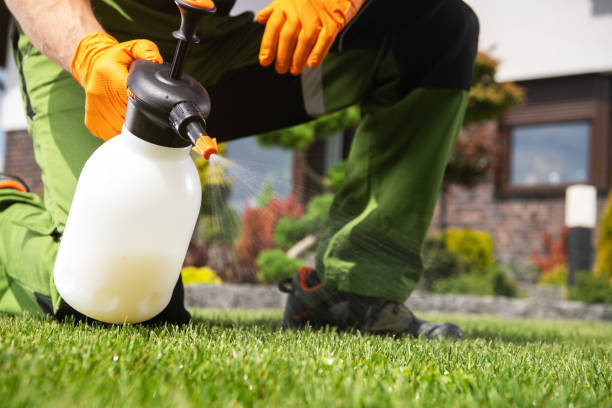 Best Wasp Removal Services  in Ferrysburg, MI