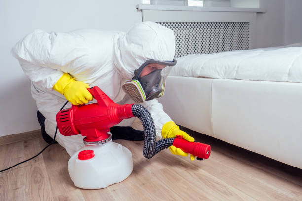 Best Affordable Pest Control Services  in Ferrysburg, MI
