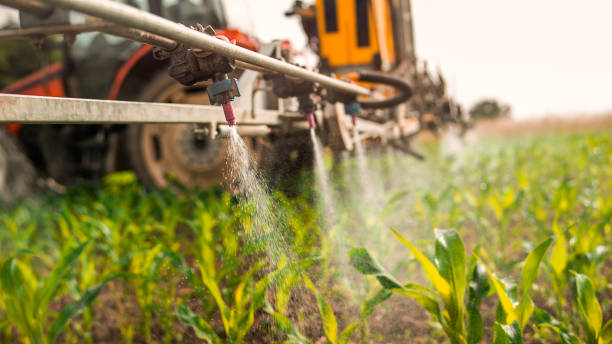 Best Pest Prevention Services  in Ferrysburg, MI